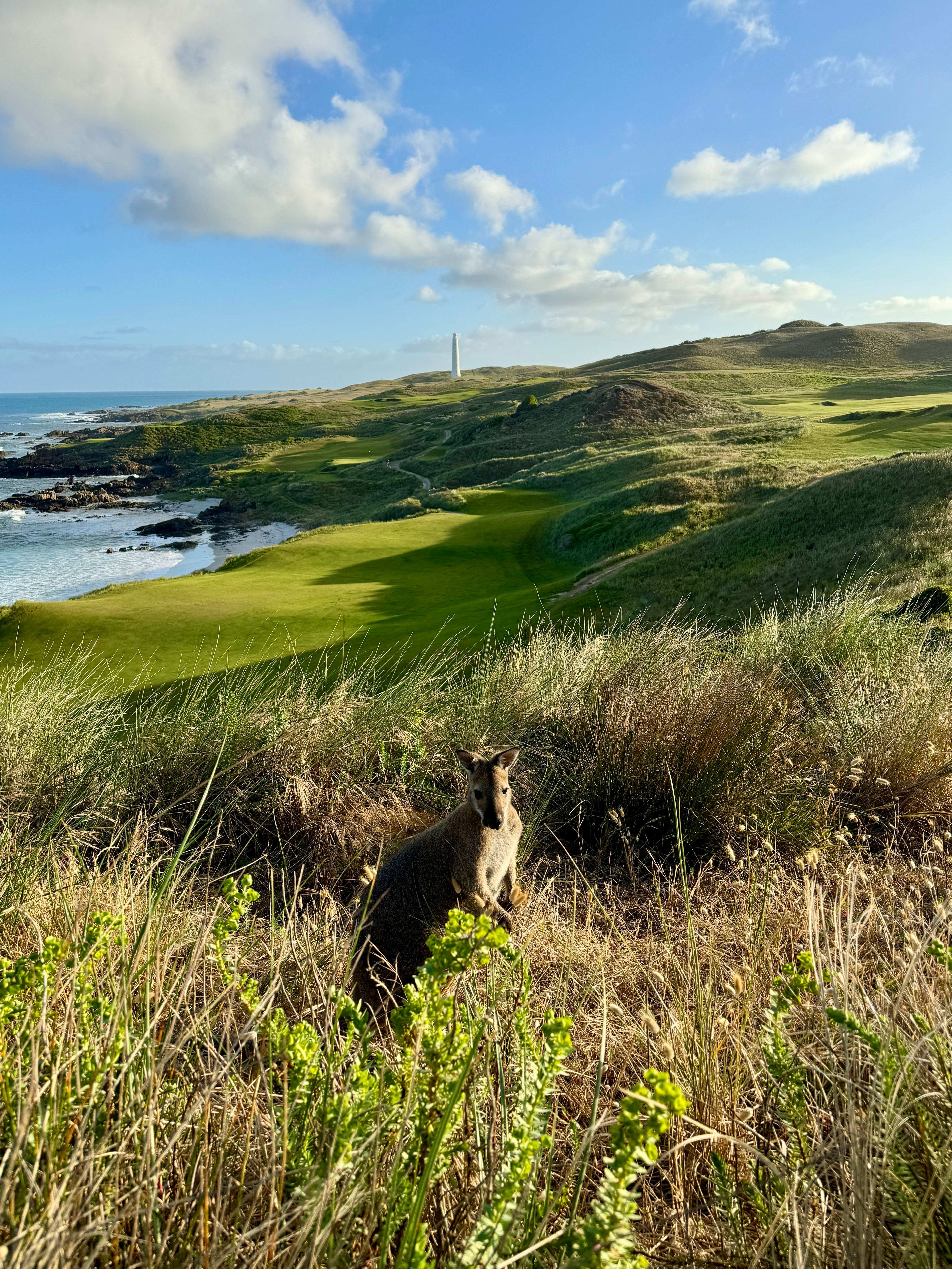 The Roo Canada - Red Rooster Golf Inc.